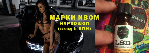 индика Арсеньев