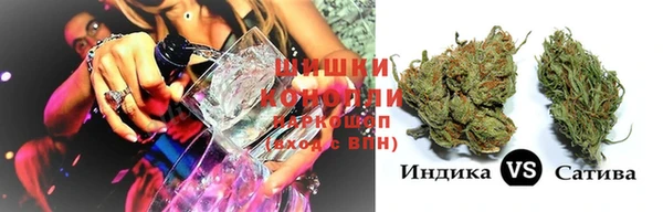 индика Арсеньев