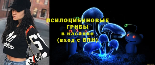 индика Арсеньев