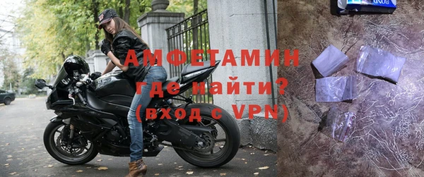 индика Арсеньев