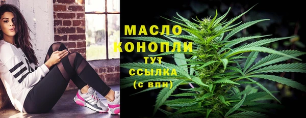 индика Арсеньев